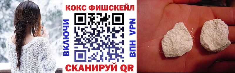 купить наркотик  Копейск  omg ССЫЛКА  КОКАИН Fish Scale 