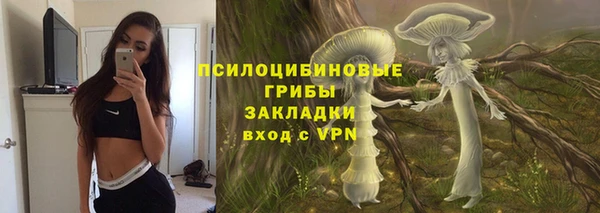 гашик Абаза
