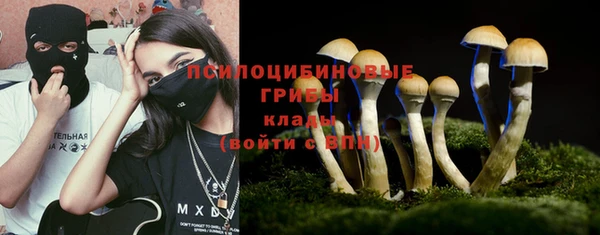 таблы Алексин