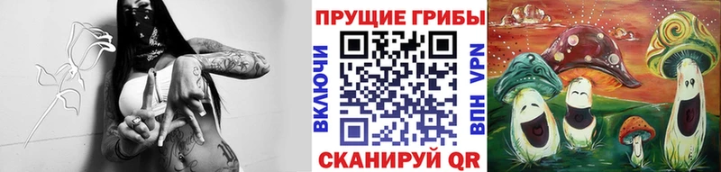 Галлюциногенные грибы Magic Shrooms  цены наркотик  Копейск 